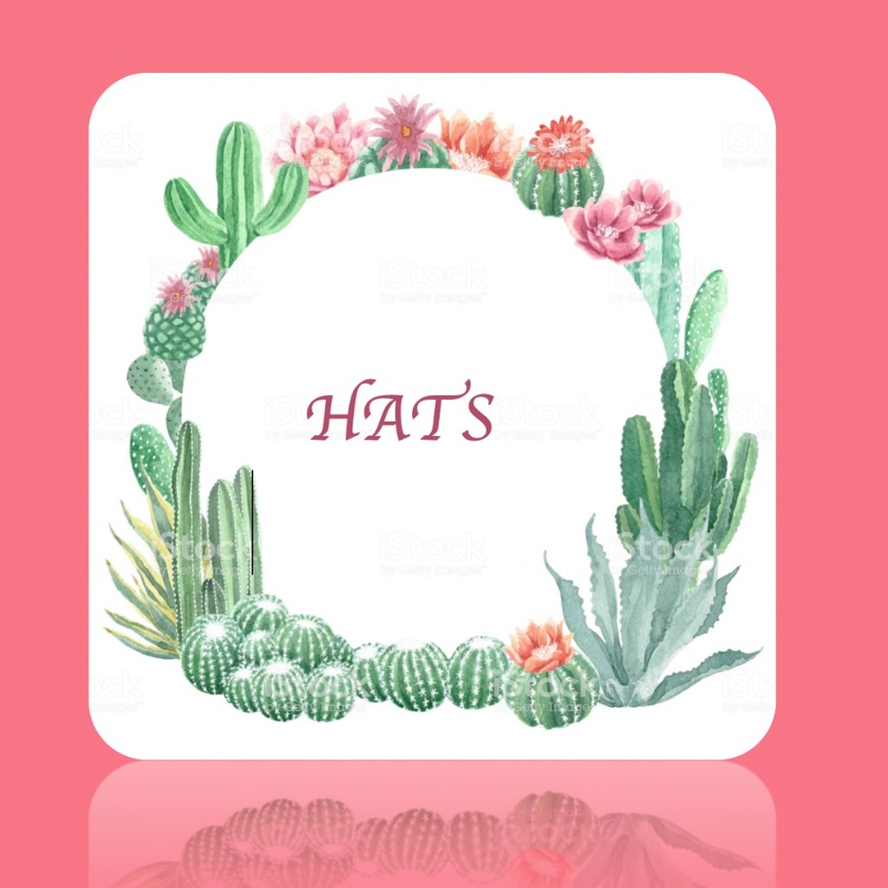 🌺HATS🌺